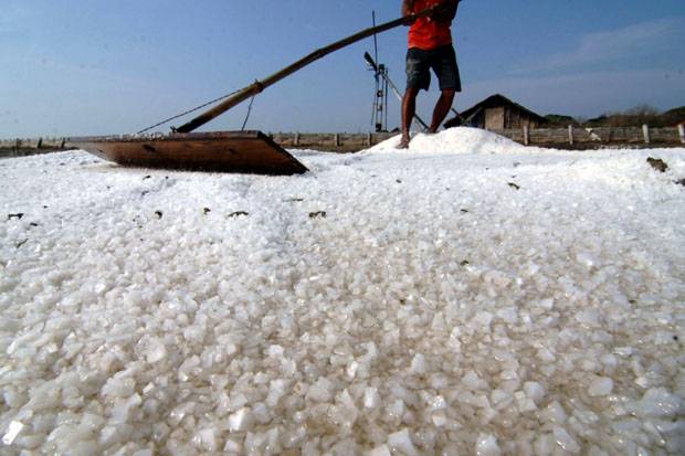 The largest salt field