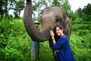 The Elephant Conservation Centre in Thailand