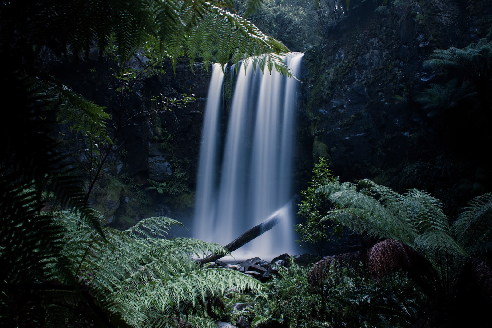 Great Otway National Park