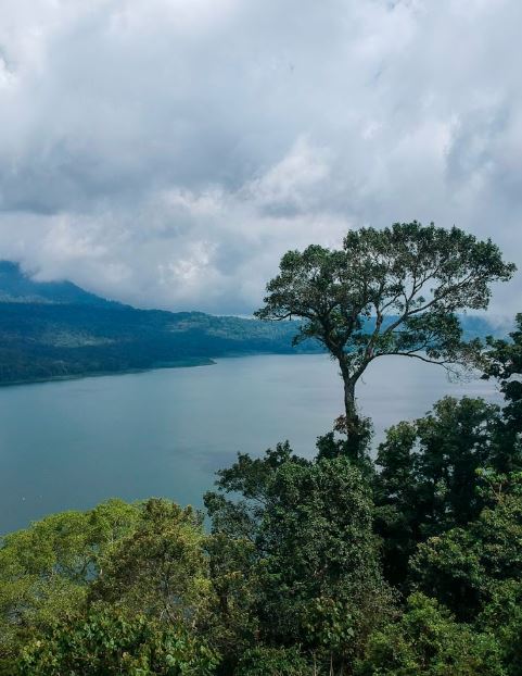 Puncak Wanagiri is famous for its iconic photo spots. Capture the perfect Instagram-worthy moments against the backdrop of Bali's untouched nature.